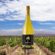 vinho-branco-chileno-bestia-chardonnay-750ml