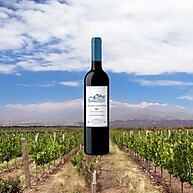 vinho-leveza-tinto-sabor-ventos-e-750ml-bons