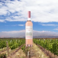 vinho-rose-750ml-quinta-de-ventos-bons