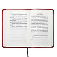 Spurgeon e os Salmos: Devocional em Couro Soft Vinho - imagem 2