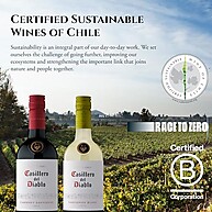 vinho-tinto-del-750ml-premium-diablo-casillero-malbec
