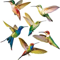 Adesivos Anticolisão para Janela - 6 Peças Beija-flor em Vinil Duplo com Design Colorido e Reutilizável - imagem 2