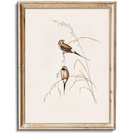 Arte de Parede Vintage Pássaros - Tela Retro Abstrata Decorativa 20,3cm - imagem 1