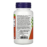 Astragalus 500mg Now Foods: Imunidade e Vitalidade! - imagem 2