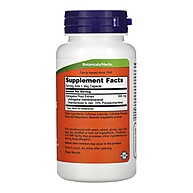 Astragalus Now Foods: Imunidade e Vitalidade! - imagem 2