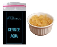 Kefir de Água Vivo + Manual Completo e Tampa Voal Inclusa + Peneira - imagem 3