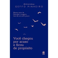 Você Chegou Por Acaso: Redescubra o Amor - imagem 1