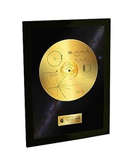 Quadro Decorativo A3 Carl Sagan Voyager - Tema Espacial para Decoração Moderna - imagem 2