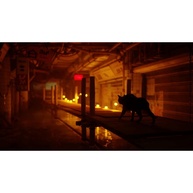 Stray: A Aventura Felina para Xbox - imagem 2