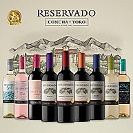 y-vinho-concha-reservado-750ml-blanc-toro-chileno-sauvignon