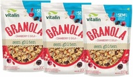 Kit 3X: Granola Cranberry e Goji Zero Açúcar Sem Glúten Vitalin 200g - imagem 1