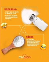 Salgante no Saleiro Zero Sódio 80g - imagem 4
