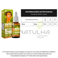 KIT 2X ZINTRIX (Zinco Infantil) 20ml - Flora Nativa Sabor:Morango - imagem 2