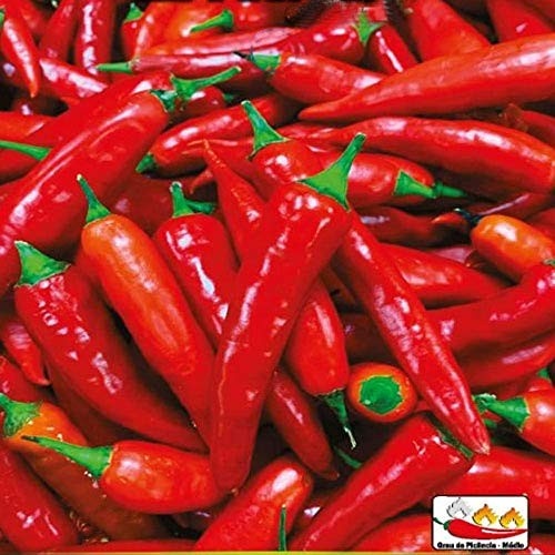 Semente de Pimenta Dedo de Moça - Embalagem 400mg