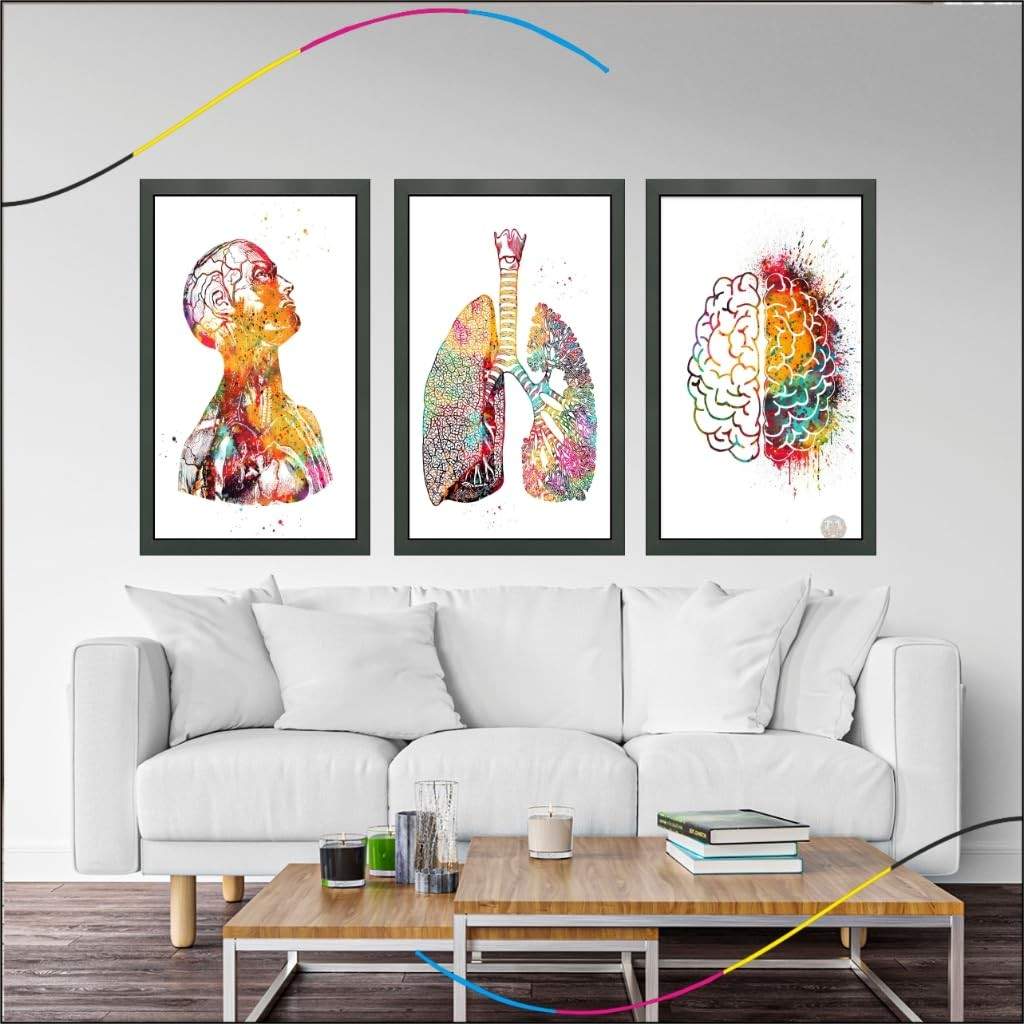 Quadro Decorativo Anatomia Humana - Moldura Elegante para Consultórios e Ambientes Médicos