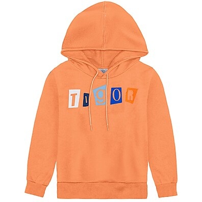 Moletom Infantil Menino Tigor: Conforto e Estilo!