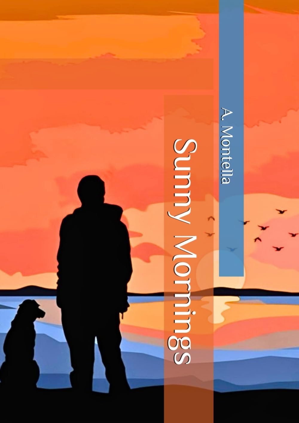 Sunny Mornings: Conto Gay Divertido e Sensual com Técnico de TV