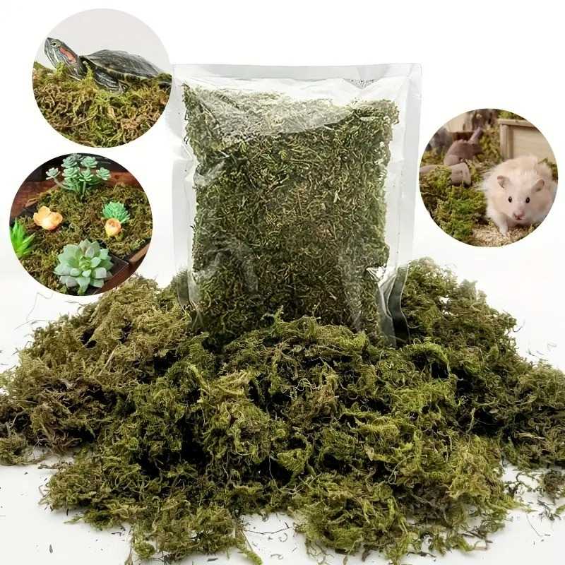 Musgo para Artesanato 20g: Transforme Seus Projetos em Obras de Arte