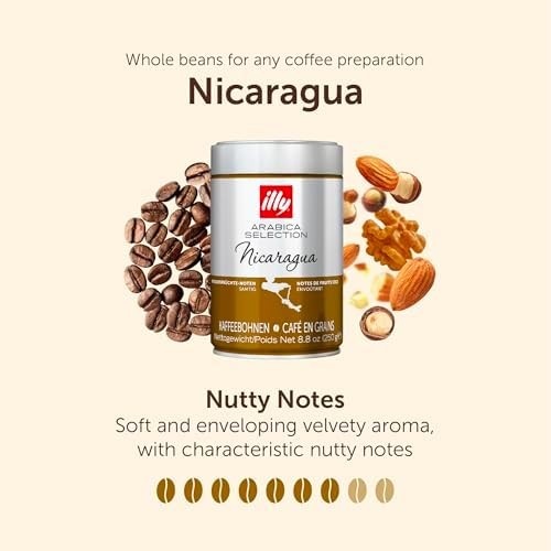 nicaragua-250g-cafe-arabica-graos-em-illy-selection