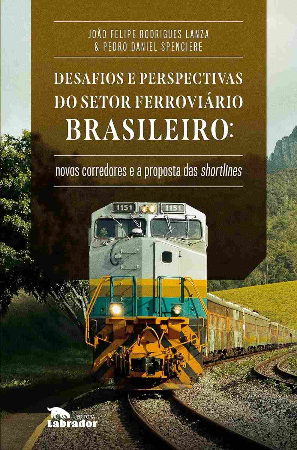 Setor Ferroviário Brasileiro: Desafios, Novos Corredores e a Revolução das Shortlines