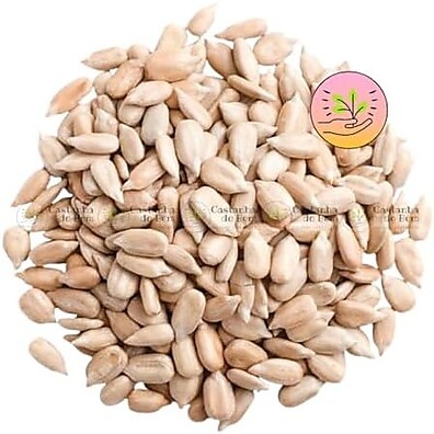 nutricao-sabor-pepita-500g-girassol-e