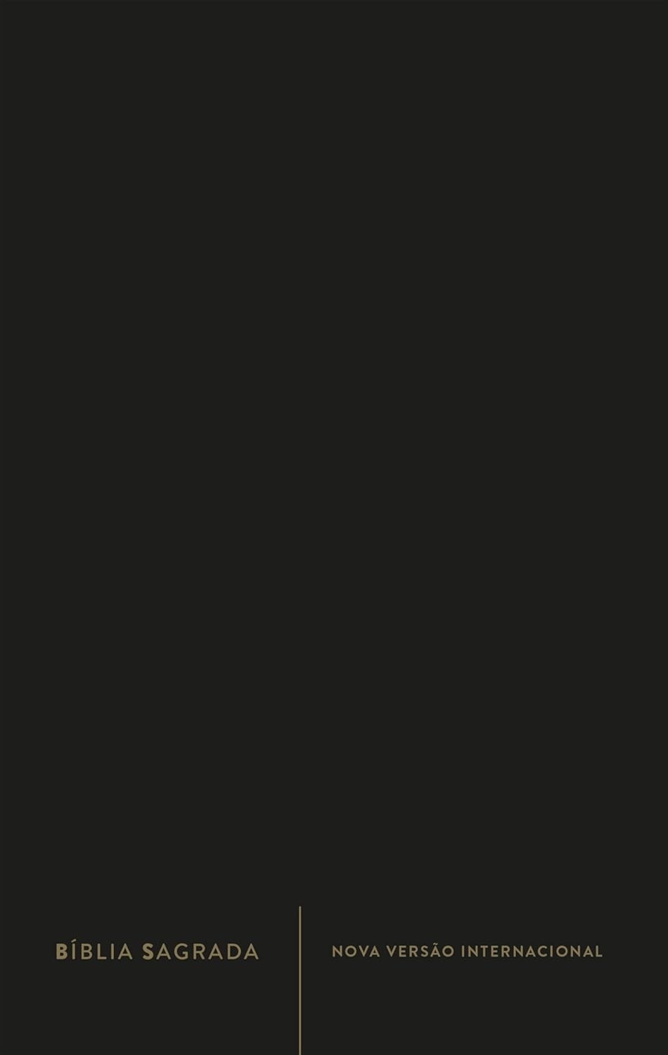 nvi-slim-qualquer-espiritual-sua-capa-em-luxo-sagrada-biblia-a-preta-companheira-lugar-a