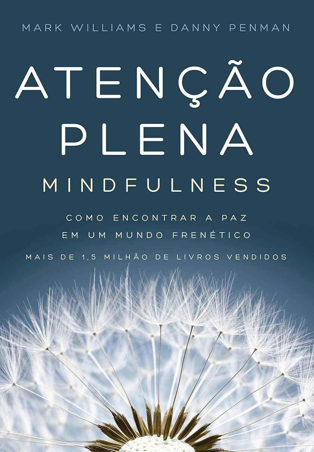 Atenção Plena (Mindfulness): Encontre a Paz e Reduza o Estresse