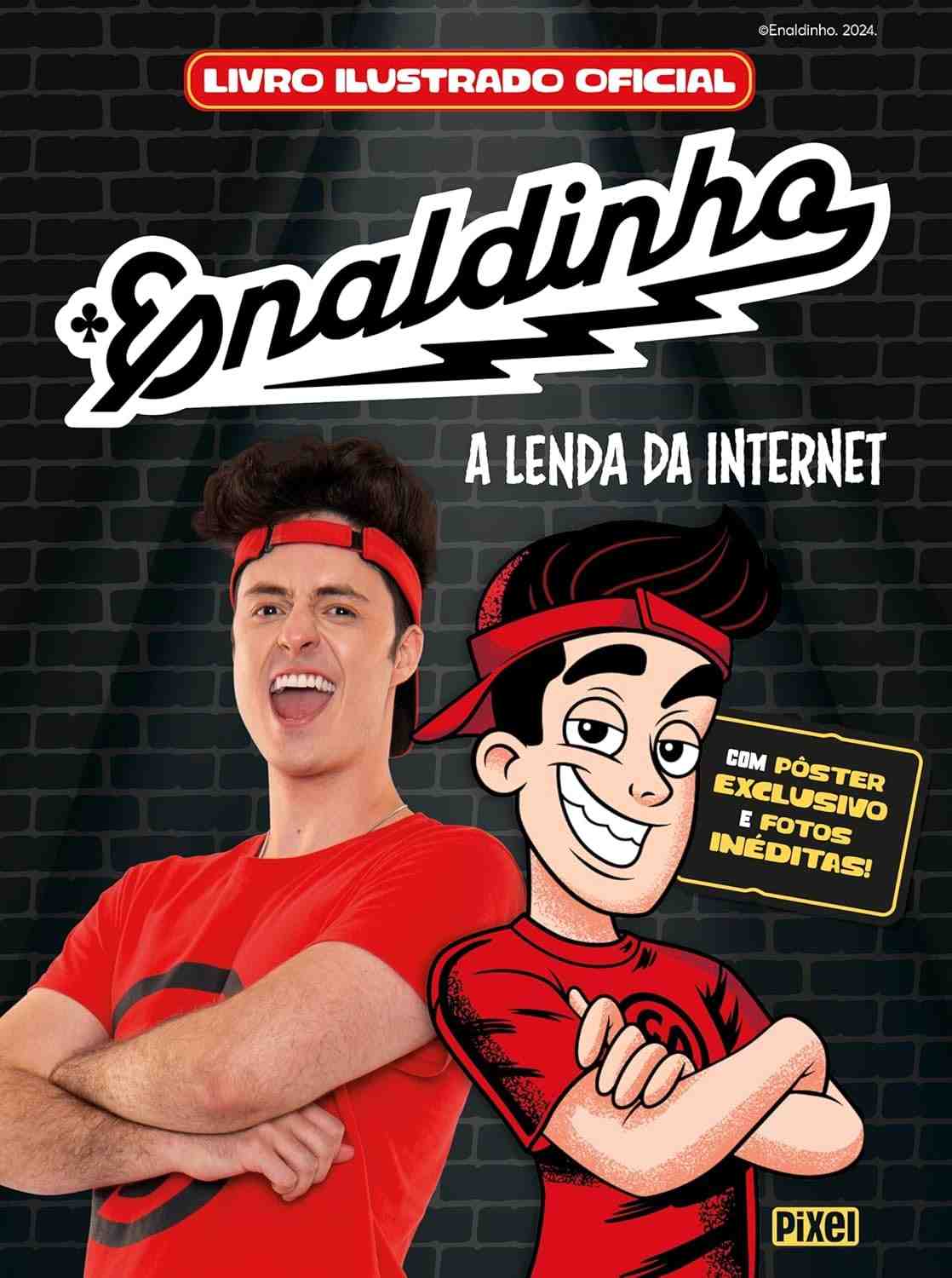 Livro Ilustrado Oficial Enaldinho Digital: A Lenda da Internet com Cromos Exclusivos!