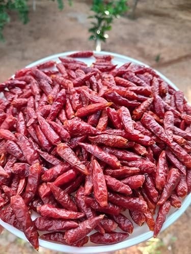 Pimenta Malagueta Desidratada Orgânica Natural do Norte de Minas Gerais 20g