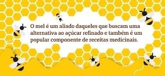 Mel de Eucalipto Orgânico Organic 200g
