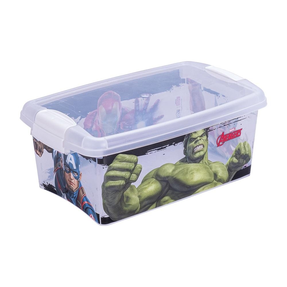 Organizador 4,2L: A Solução Perfeita!