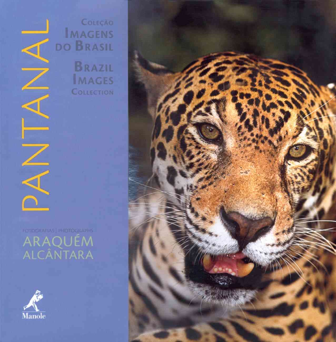 pantanal-a-alagavel-majestade-a-maior-textos-mundo-da-planicie-inspiradores-em-imagens-e-do-a