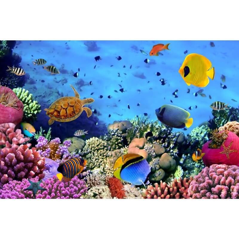 Papel de Parede Fundo do Mar: Decore Quartos com Magia!