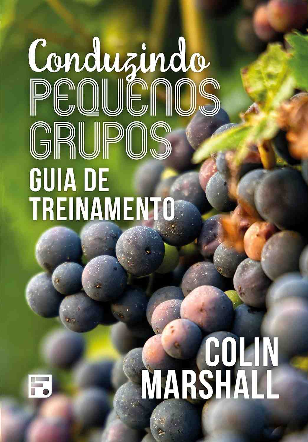 para-de-crescimento-pequenos-lideranca-grupos-e-formacao-de-cristaos-grupos-guia-a-completo-a