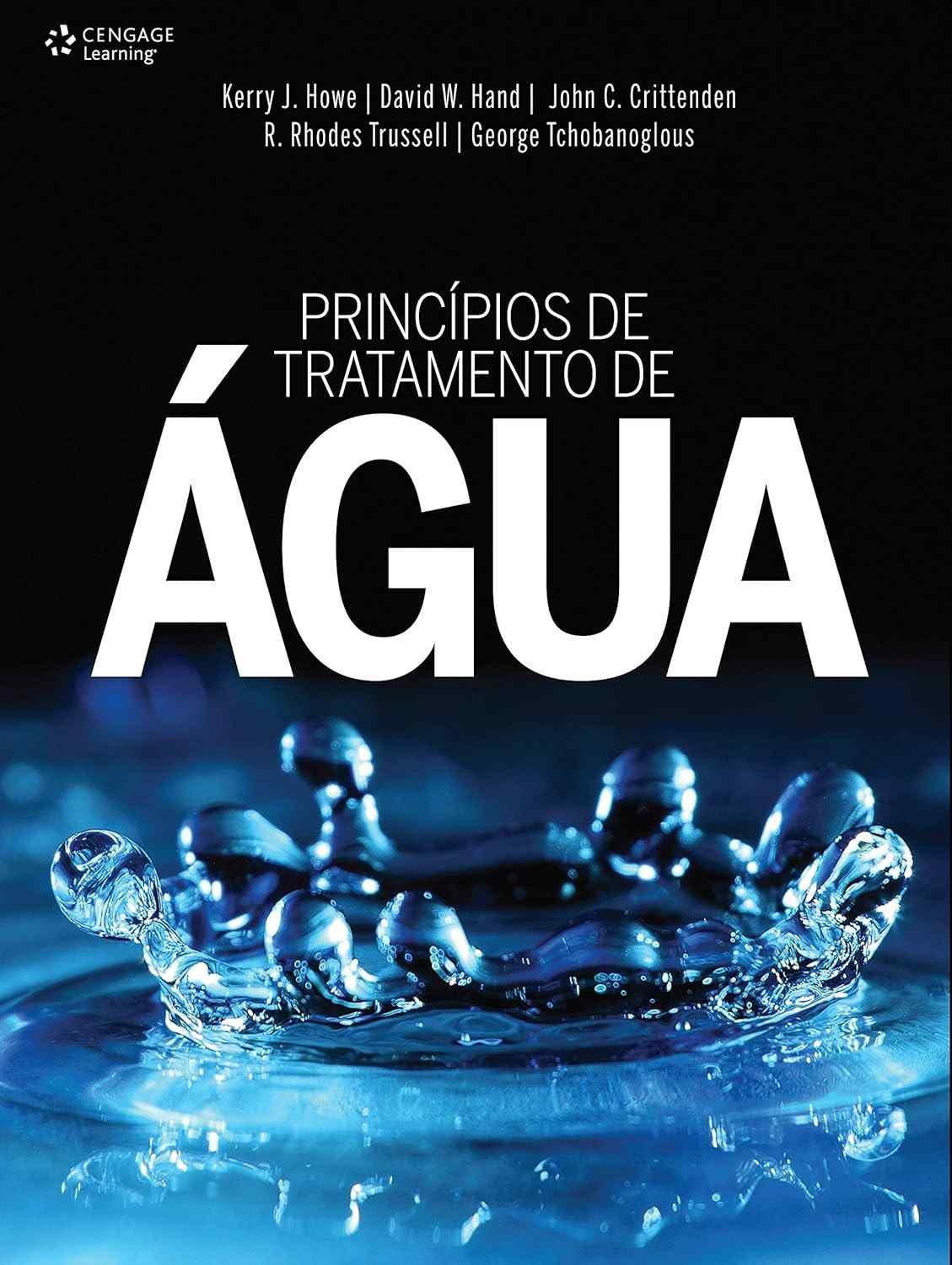 Domine o Tratamento de Água: Guia Essencial para Profissionais e Estudantes