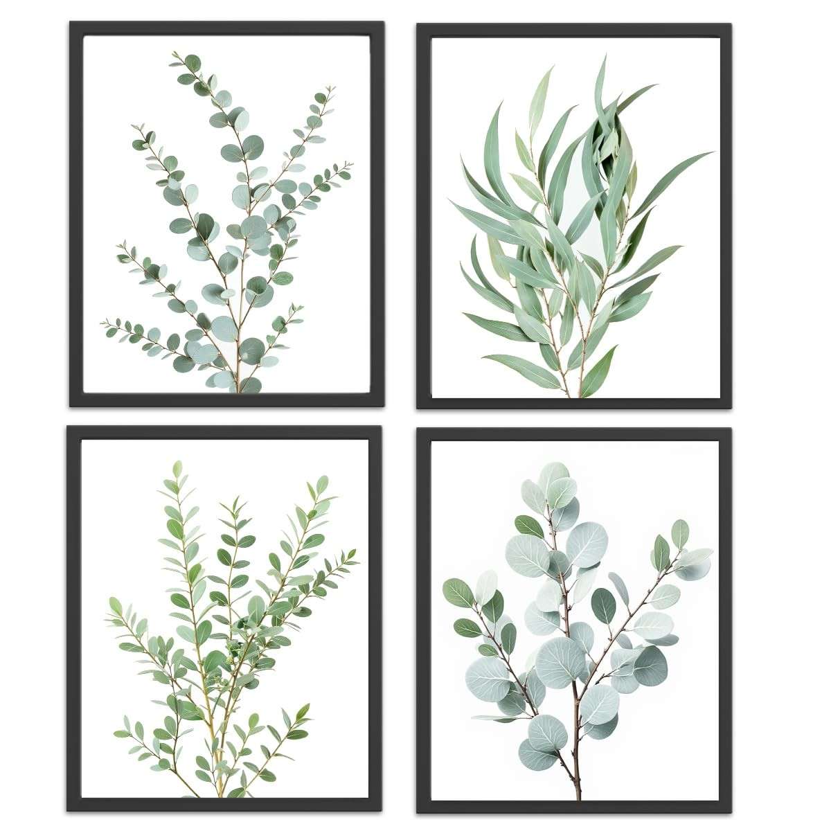 4 Peças de Arte de Parede Botânica Verde Sálvia - Eucalipto Minimalista para Decoração de Quarto, Sala e Banheiro
