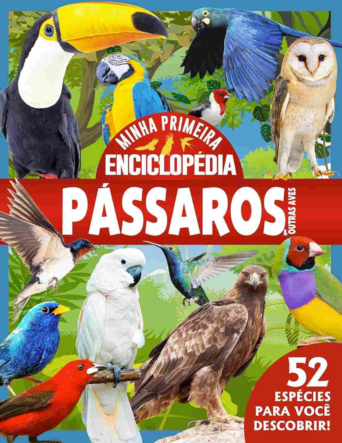 passaros-mundo-animais-enciclopedia-para-primeira-a-de-um-exploradores-minha-de-pequenos-a