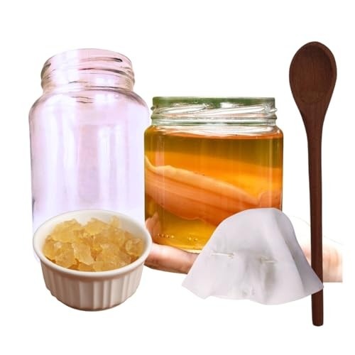 Scooby de Kombucha Ganhe Kefir De Água Colher De Pau + Tampa Voal + Frasco 500ml