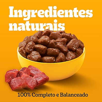 pequenos-caes-para-nutricao-e-amor-carne-sache-pedigree