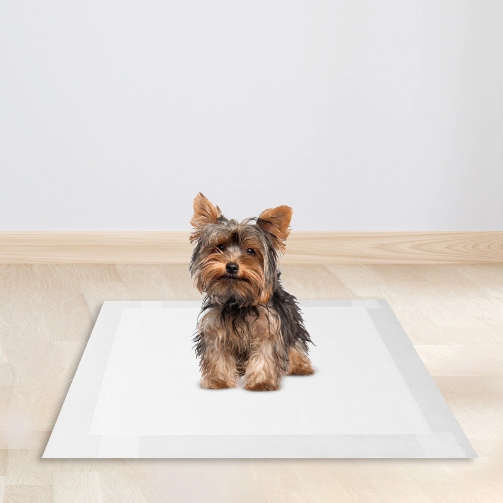 Tapete Higiênico Good Pad 60x60: Higiene prática para o seu pet