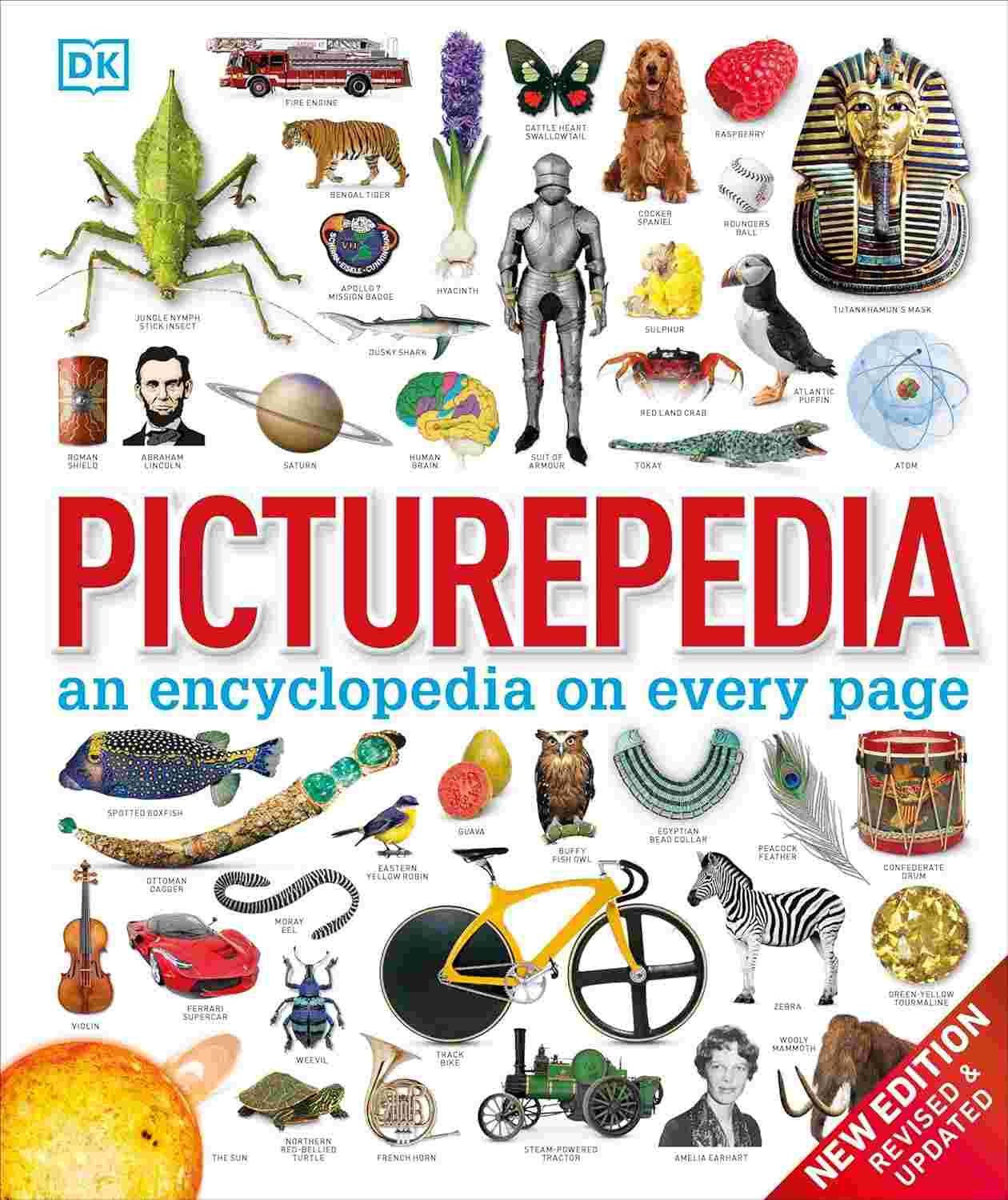 picturepedia-enciclopedia-criancas-para-definitiva-a-visual-curiosas-a