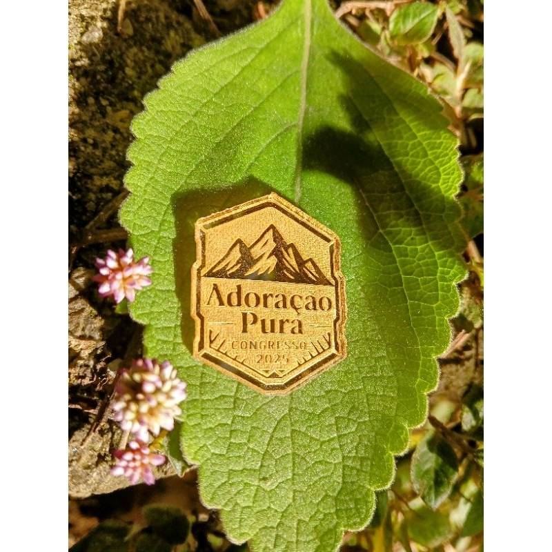 Pins JW Adoração Pura: Congresso 2025