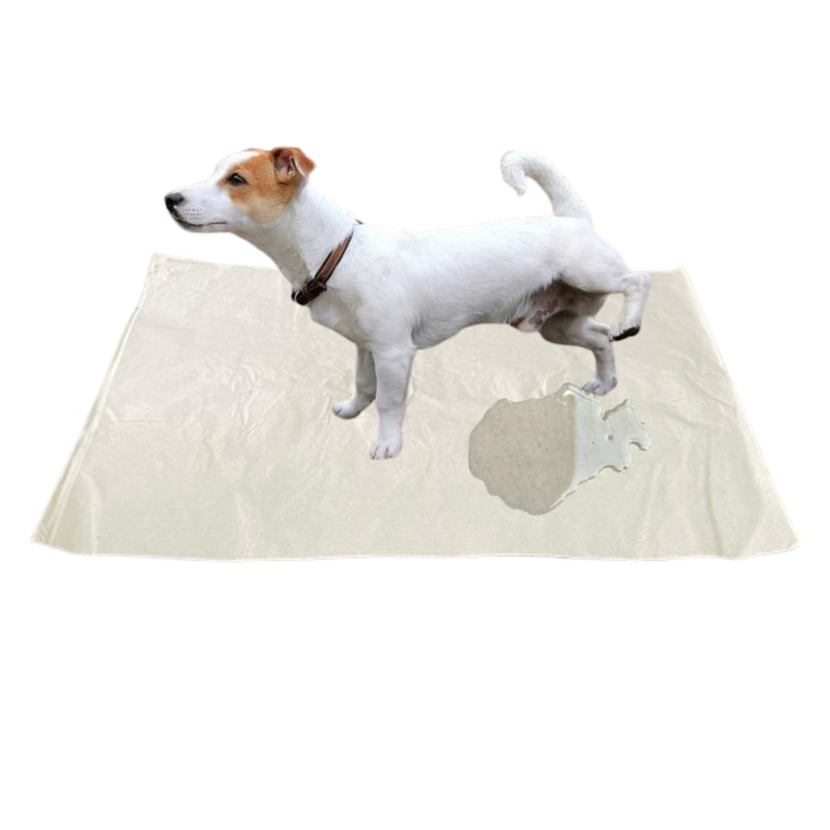 Jornal Pet Pipi Dog 250 Folhas Grandes Limpas Sem Impressão