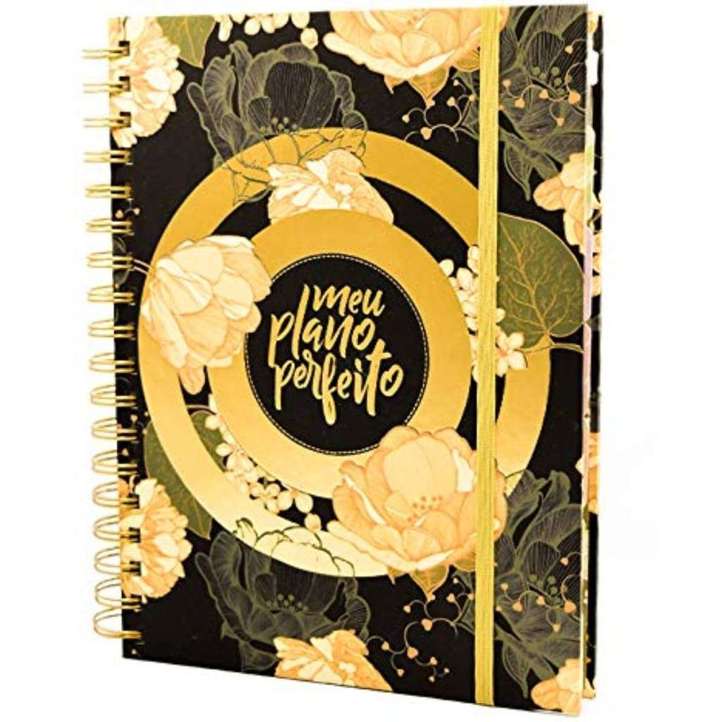 Planner Meu Plano Perfeito: Organize sua Vida!