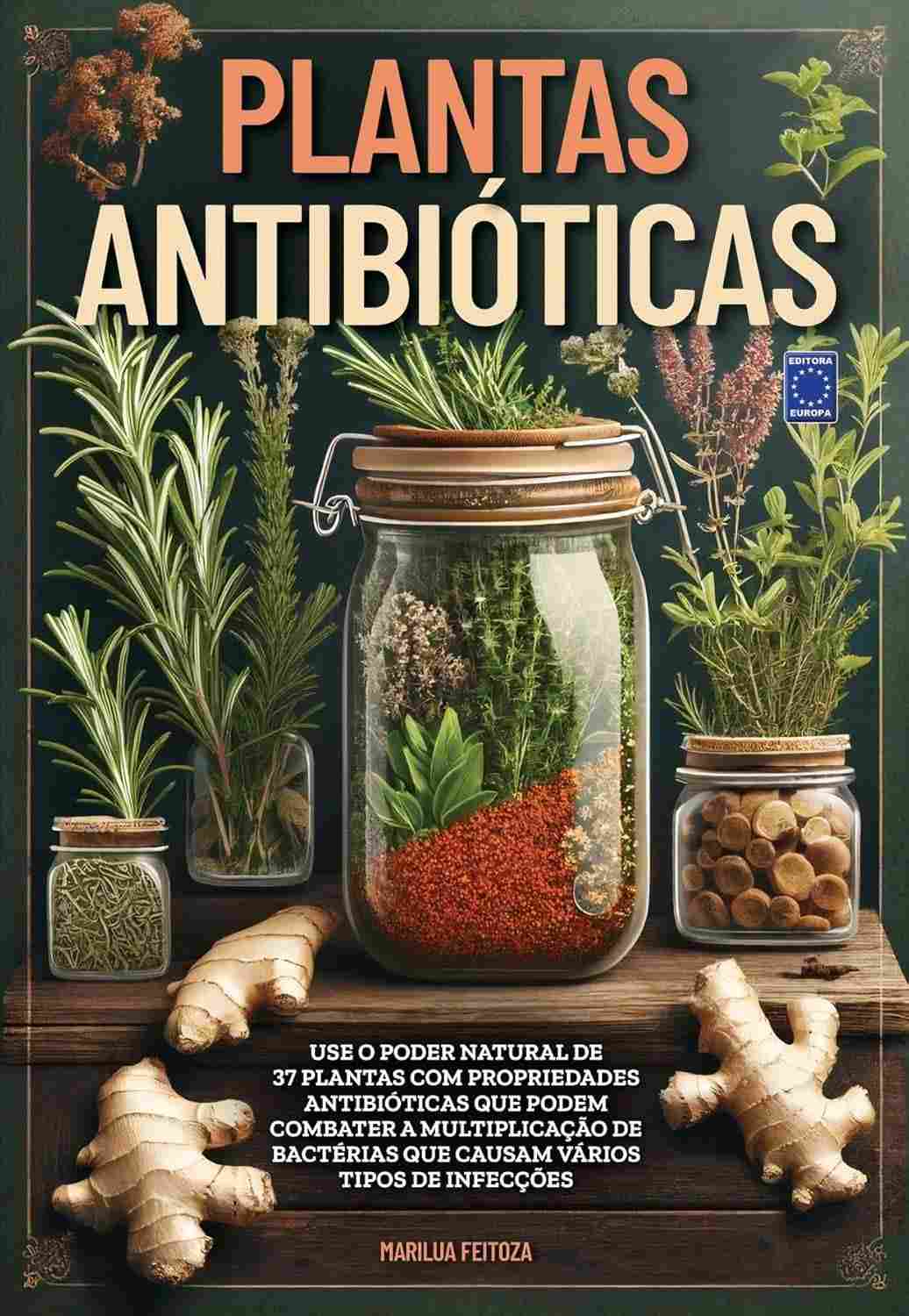 plantas-natural-o-de-a-antibioticas-poder-cura-descubra-a