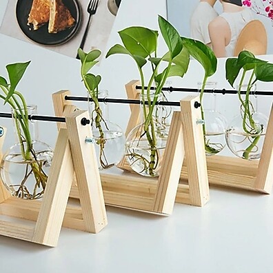 Vaso Bulbo com Suporte de Madeira para Plantas
