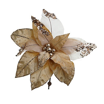 Poinsétia Champagne: Elegância Natalina
