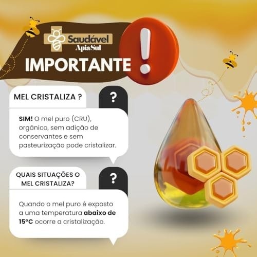 KIT Mel de Bracatinga - 1,5Kg - Pote de Vidro + Saudável ApiaSul