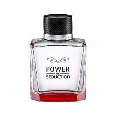 Power of Seduction: Desperte o Herói em Você
