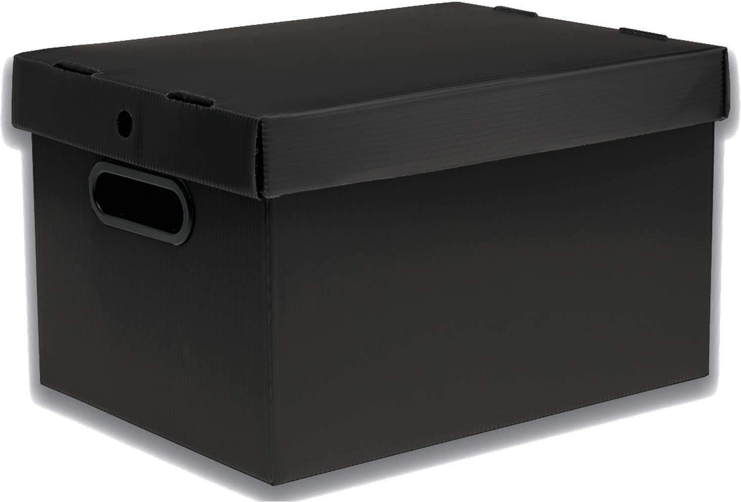 Caixa Organizadora Prontobox Polycart 7010-PT Preta – 310x230x190mm